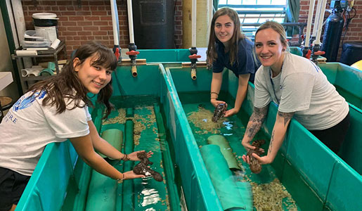 Students in the Biology Field Station working with hellbenders in a lab.